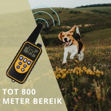 Antiblafband anti blafband honden waterdicht + AFST *GEEL*, Dieren en Toebehoren, Verzenden, Nieuw