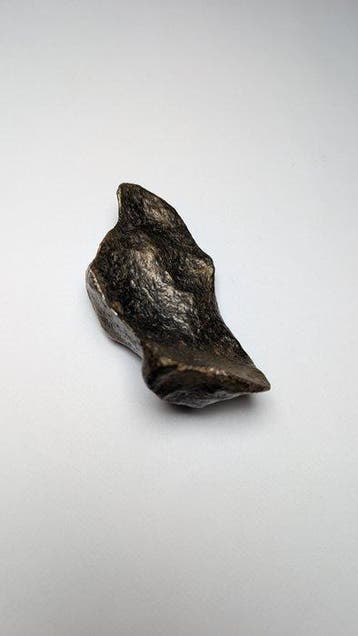 Météorite de Gibeon Météorite de fer - 194 g - (1), Collections