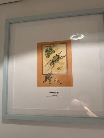 Kuifje - 5 Set van 5 prachtige Kuifjes lithografieën -, Boeken, Nieuw