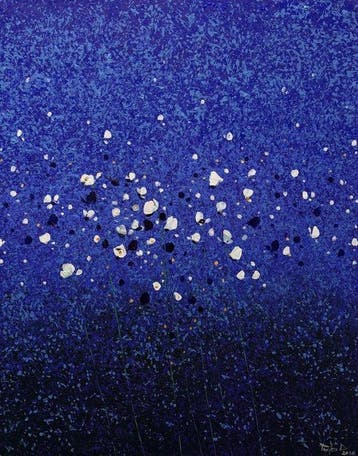Parfen.D XL - Starlit Petals
