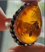 Sans prix de réserve - Bague Argent Ambre - bague argent, Bijoux, Sacs & Beauté
