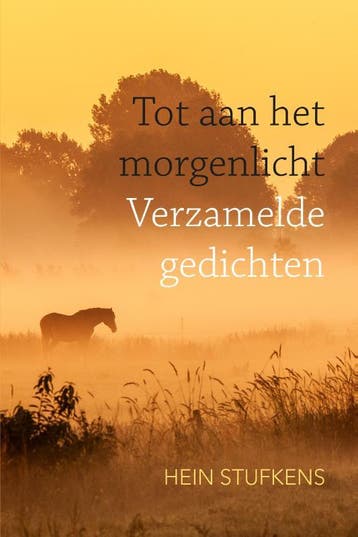 Tot Aan Het Morgenlicht | Hein Stufkens | Nieuw, Verzenden, Nieuw, Hein Stufkens