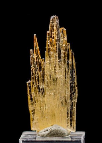 Gouden Wachter aragoniet • 26,30 ct • Unieke Vertical Blade, Verzamelen
