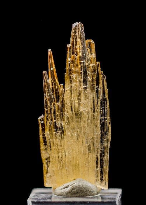 Gouden Wachter aragoniet • 26,30 ct • Unieke Vertical Blade, Verzamelen, Mineralen en Fossielen