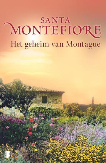 Het geheim van Montague 9789022574553 Santa Montefiore, Verzenden, Santa Montefiore