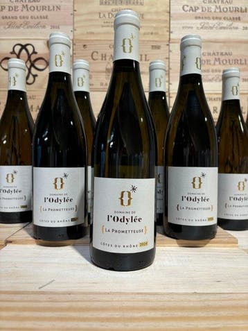 2024 Domaine de l’Odylée cuvée la prometteuse -, Nieuw