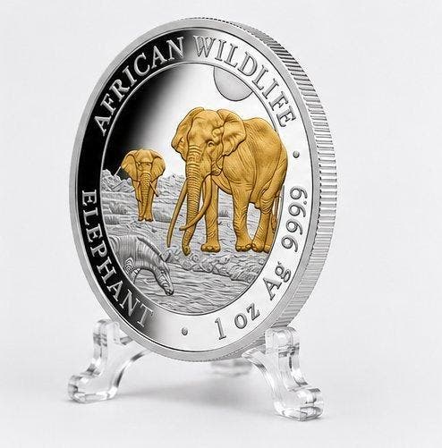 Somalië. 100 Shilling 2026 – African Wildlife Series –, Postzegels en Munten, Munten | Europa | Niet-Euromunten