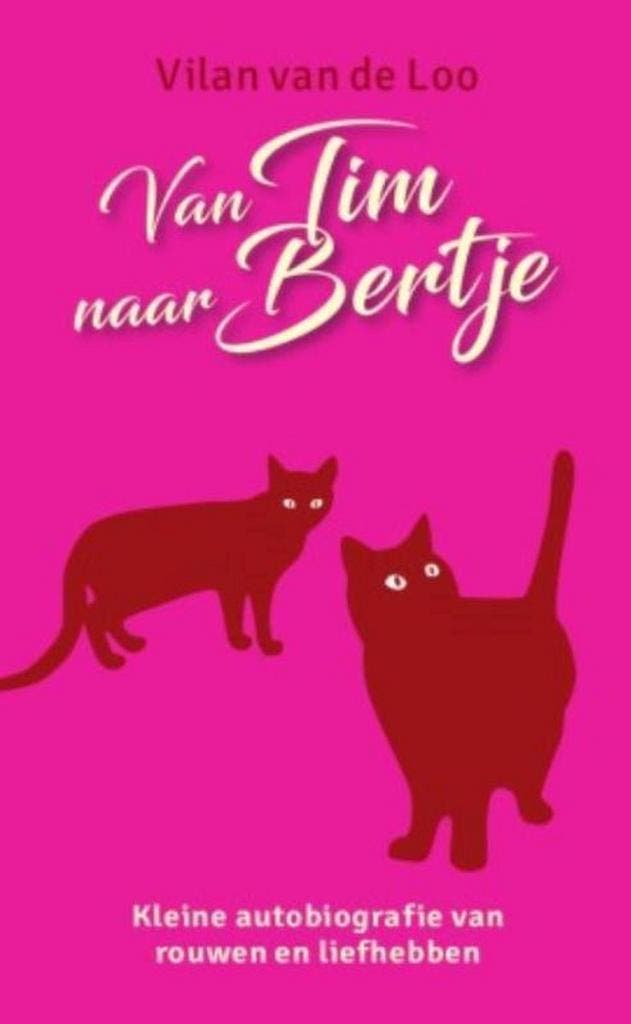 Van Tim naar Bertje 9789460224355 Vilan van de Loo, Boeken, Literatuur, Gelezen, Verzenden