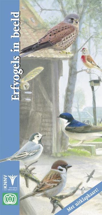 Erfvogels in beeld / In beeld / 24 9789050113311 Rob Buiter, Verzenden, Zo goed als nieuw, Rob Buiter
