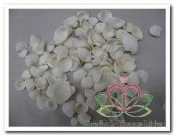 White Cay Cay Kleine Witte Schelpjes 200 gram, Nieuw