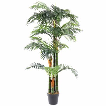 Kunstplant | FLORIDA PALM | Groen | Indoor | 1650(h)mm HC, Verzenden, Nieuw in verpakking