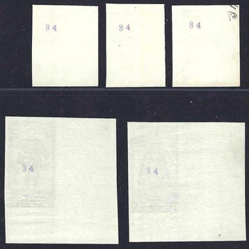 Belgique 1948 - Ongetand, « Portretten du Sénat III », Gestempeld