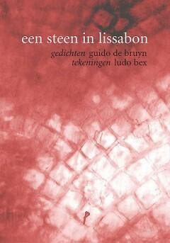 Een steen in Lissabon 9789079433452 Guido De Bruyn, Verzenden, Gelezen, Guido De Bruyn