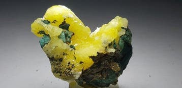 Brucite en forme de poule Collection de cristaux - Hauteur :