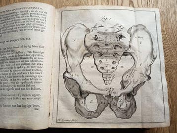 Hendrik van Deventer - [OBSTETRICS, MANY PRINTS] Manuale
