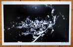 Tony Frank (1941–) - Chuck Berry Paris 1966