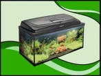 Classic box 60 recht aquarium (Classic box aquariums), Dieren en Toebehoren, Verzenden, Nieuw