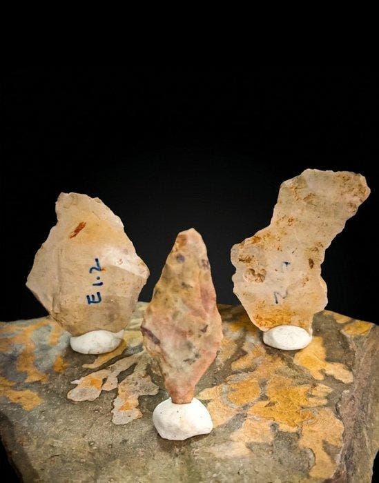 Musteriense vuursteen en bot Werktuig - 7 cm (Zonder, Collections, Minéraux & Fossiles