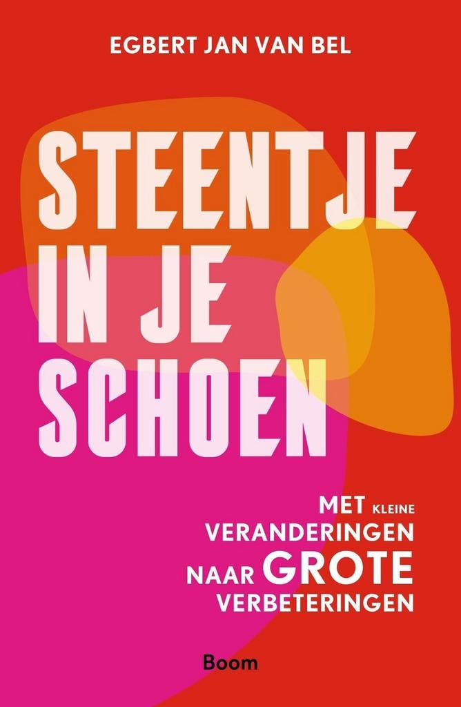 Steentje in je schoen (9789024450817, Egbert Jan Van Bel), Livres, Livres scolaires, Envoi