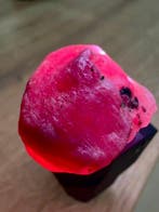 Robijn Echt juweel! Indrukwekkende 98 ct. Mozambique