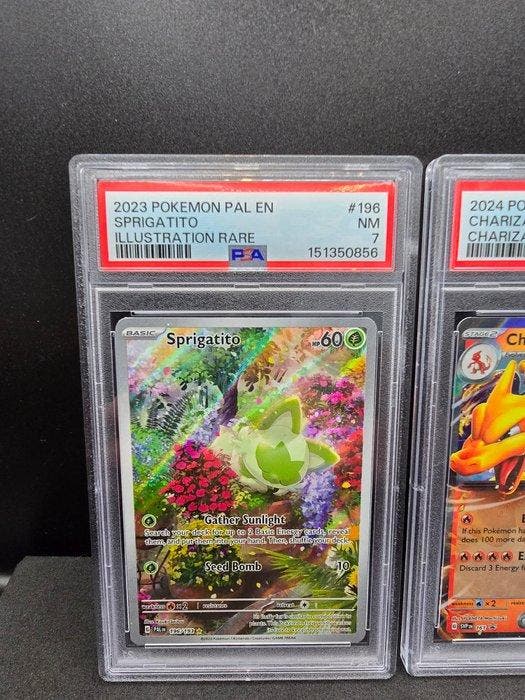 Pokémon - 2 Graded card - Charizard, Sprigatito Foil, Full, Hobby en Vrije tijd, Verzamelkaartspellen | Pokémon