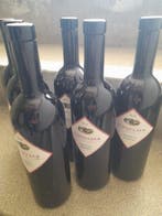 1999 Georg Schmelzer - Schmelzer Zweigelt Reserve -, Collections