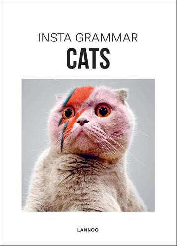 Cats / Insta grammar 9789401436953 Irene Schampaert, Verzenden, Gelezen, Irene Schampaert