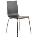 Stoel | DANIS | Grijs | RVS Poten | 485x530x820(h)mm Luxus, Verzenden