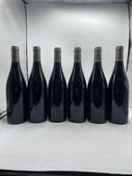 2019 Domaine Jean Monnier & Fils Fremiers - Pommard 1er, Nieuw