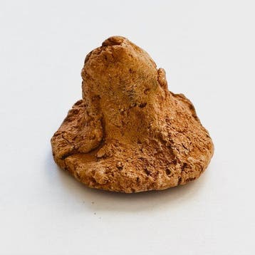 Gandhara Clay Heilig stierkraal-talisman met inscripties -