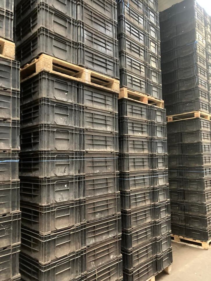 bollenkrat kisten teeltkrat partij plastic bakken 60x40x24, Bricolage & Construction, Casiers & Boîtes