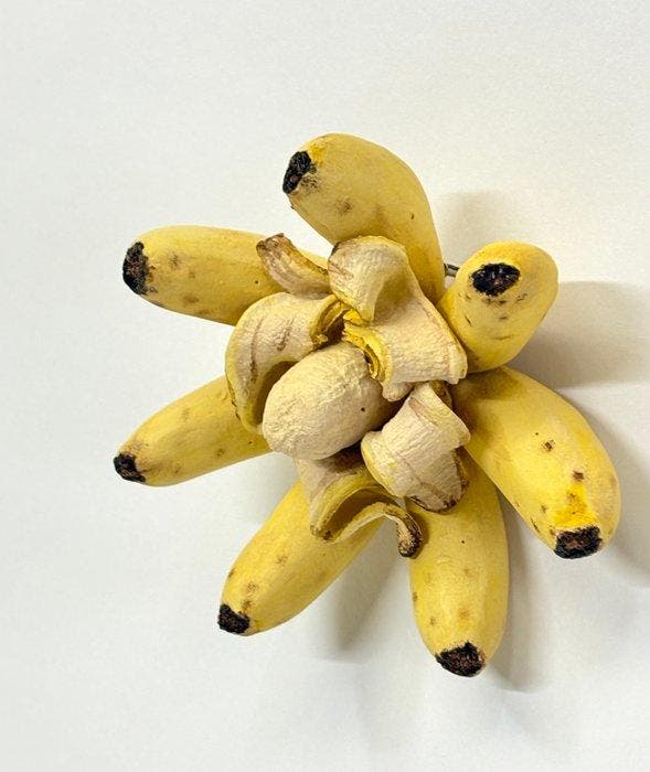 Koji Kasatani - Banana Flower, Antiek en Kunst, Kunst | Designobjecten