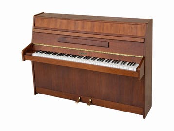 Gunther 108 (1994), Muziek en Instrumenten, Verzenden, Zo goed als nieuw