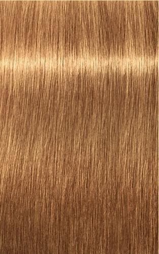 Schwarzkopf Professional Igora Royal Absolutes 60ml, Verzenden, Nieuw, Overige typen