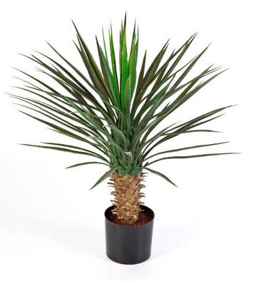 Kunstplant Yucca Plastic 80 cm, Verzenden