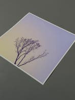 Téber - Roots · No Reserve