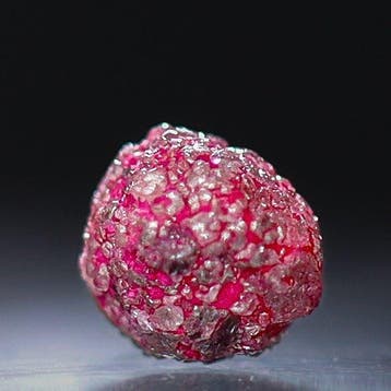 Fancy Vivid Red Diamant • GEEN MINIMUMPRIJS • Zeldzame kleur