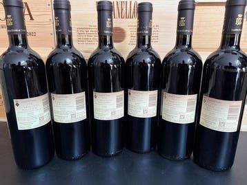 2024 Guado al Tasso, Il Bruciato - Bolgheri - 6 Bouteilles, Nieuw