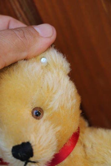 Steiff: Teddybeer original 1950, EAN 5325.2G - Teddybeer -