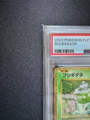 Pokémon - 3 Graded card - Bulbasaur Charmander Squirtle, Nieuw