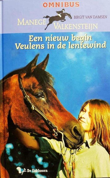 Manege Valkensteijn Omnibus 9789060569597 Birgit Van Damsen, Verzenden, Zo goed als nieuw, Birgit Van Damsen