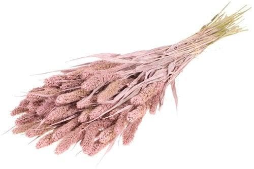 Setaria Trosgierst Misty Pink Bundel, Maison & Meubles, Accessoires pour la Maison | Plantes & Fleurs artificielles