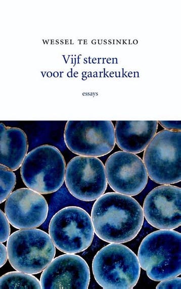 Vijf sterren voor de gaarkeuken 9789492313096, Verzenden, Zo goed als nieuw, Wessel te Gussinklo