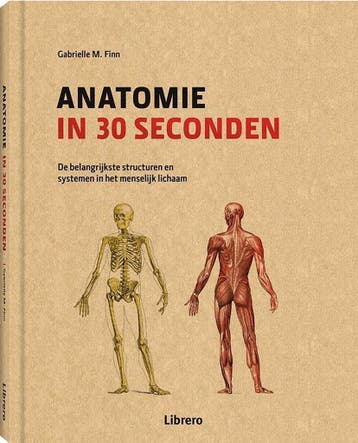 Anatomie in 30 seconden 9789089987709 Gabrielle M. Finn, Boeken, Verzenden, Zo goed als nieuw, Gabrielle M. Finn