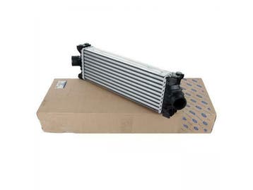 ORIGINAL Ford intercooler turbo cooler Intercooler LLK TRANS, Ophalen of Verzenden, Nieuw