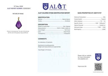 Geen reserve - ALGT gecertificeerd - Grote en exclusieve