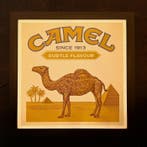 Camel - Lichtreclame bord van Camel - Lichtbord - Plastic,