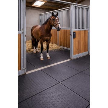 Agroclickstalmat 100x100 cm - tapis décurie en pvc à