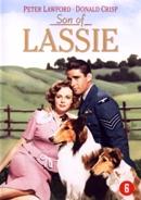 Son of lassie op DVD, Cd's en Dvd's, Dvd's | Avontuur, Nieuw in verpakking, Verzenden