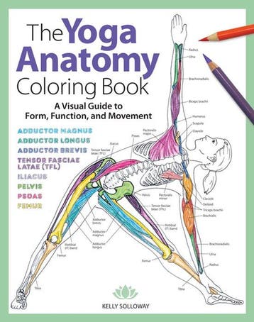 The Yoga Anatomy Coloring Book 9781640210219 Kelly Solloway, Verzenden, Zo goed als nieuw, Kelly Solloway